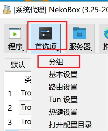 NekoRay 选择分组